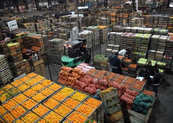 El Mercado Modelo, los productores y los intermediarios