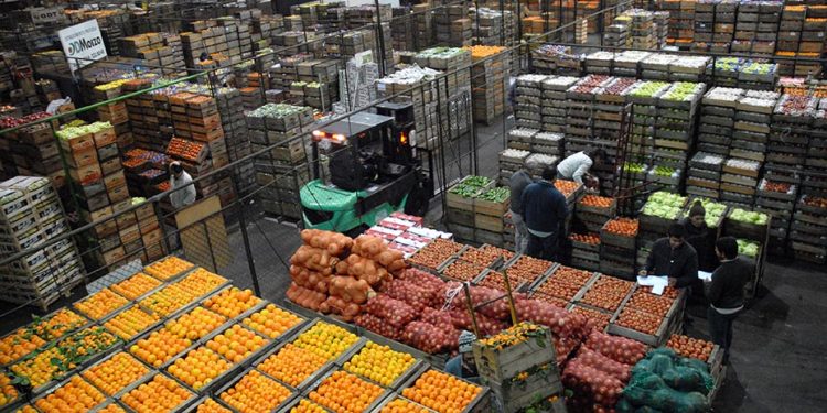 El Mercado Modelo, los productores y los intermediarios