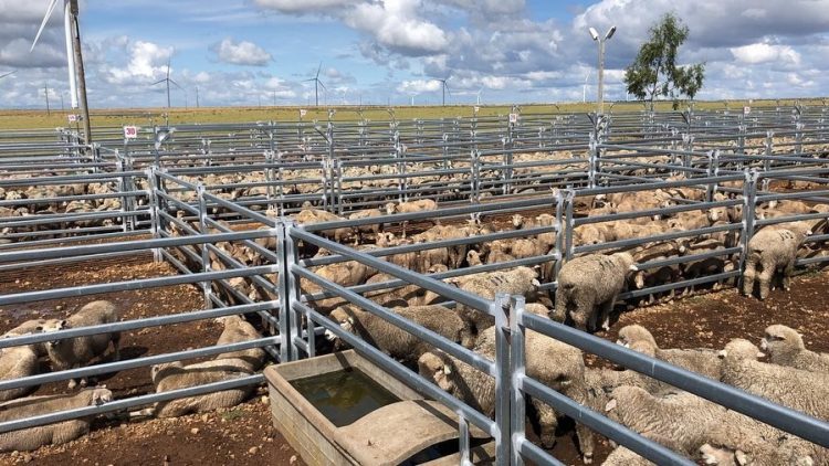 Otto Fernández: “La ganadería ofrece un potencial ya probado en otras épocas de crisis”
