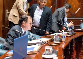 Cabildo Abierto va a promover que el Senado trate “rápidamente” el proyecto sobre forestación