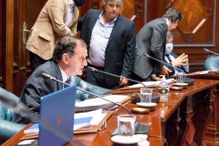 Cabildo Abierto va a promover que el Senado trate “rápidamente” el proyecto sobre forestación