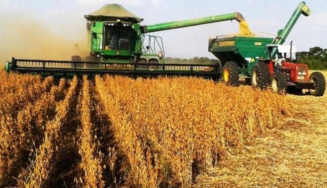 MGAP exhorta a extremar cuidados para evitar contaminación de la cosecha de soja