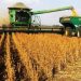 MGAP exhorta a extremar cuidados para evitar contaminación de la cosecha de soja