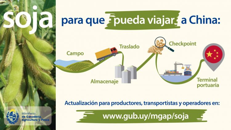 MGAP exhorta a extremar cuidados para evitar contaminación de la cosecha de soja