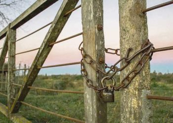 Vaciamiento del campo: La Caja Rural pierde 8 cotizantes por día