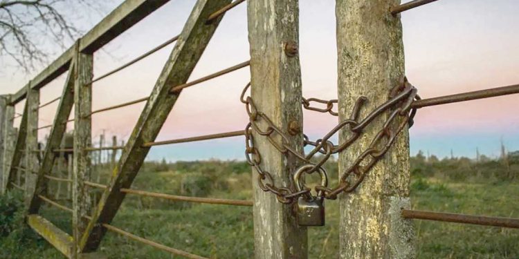 Vaciamiento del campo: La Caja Rural pierde 8 cotizantes por día