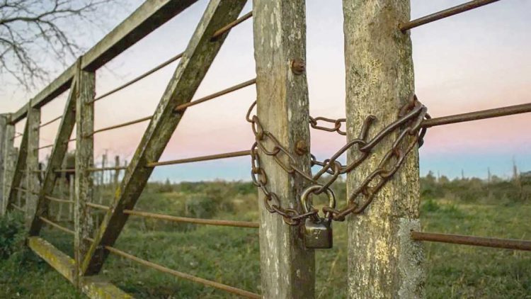 Vaciamiento del campo: La Caja Rural pierde 8 cotizantes por día