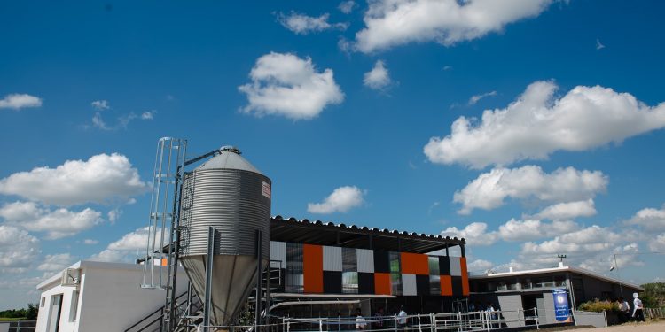 Un siglo aportando conocimiento y tecnología a la industria lechera