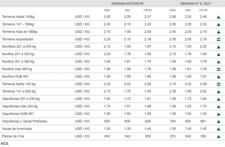 El mercado de haciendas sigue firme con alta participación del ganado de corral