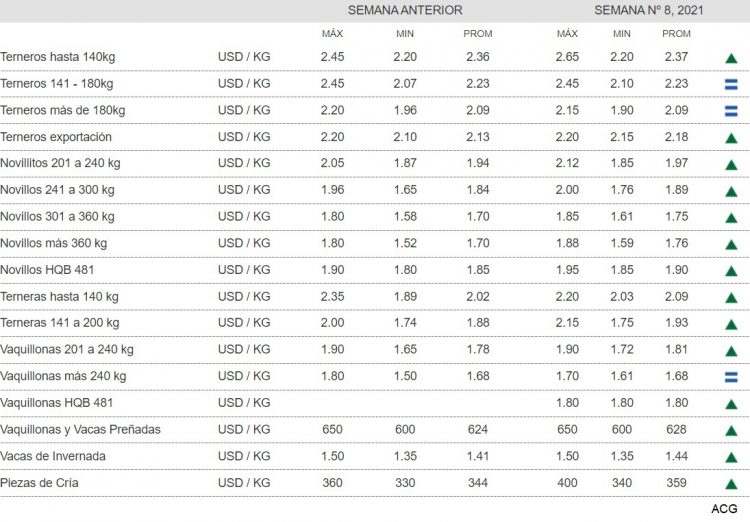 Los valores de la hacienda se afirman, con mayor faena de ganado de corral