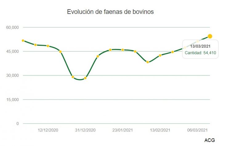 Aumento de la faena y leve caída de los valores de las haciendas