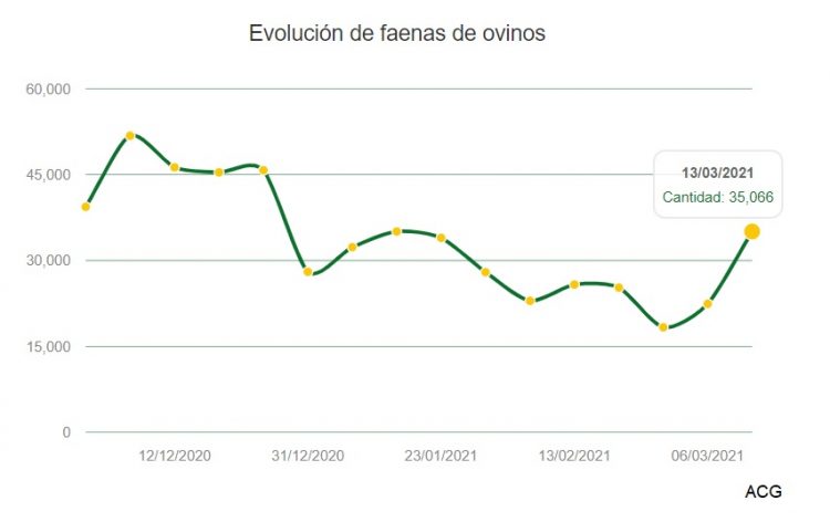 Aumento de la faena y leve caída de los valores de las haciendas