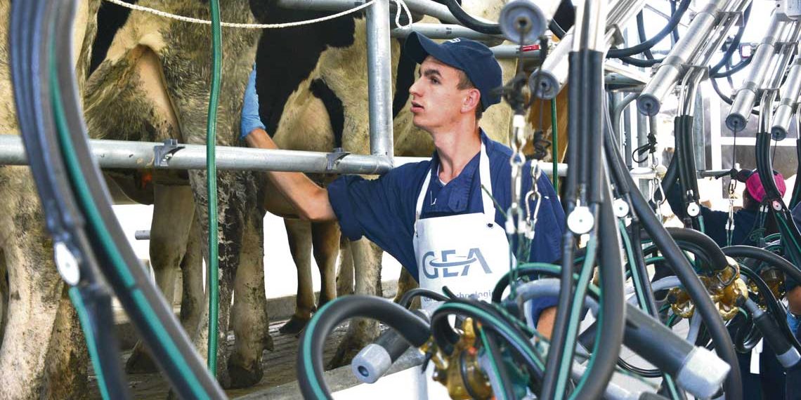 “La falta de leche para algunas industrias es un tema crítico”