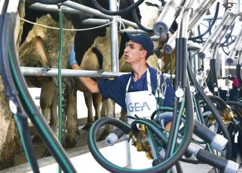 “La falta de leche para algunas industrias es un tema crítico”