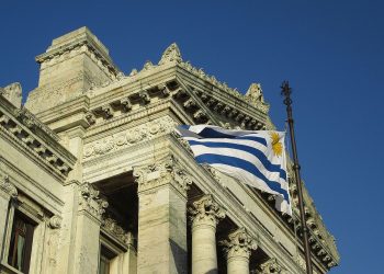 La defensa de la Constitución y la Ley de Caducidad