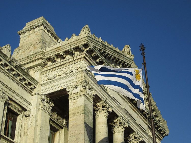 La defensa de la Constitución y la Ley de Caducidad