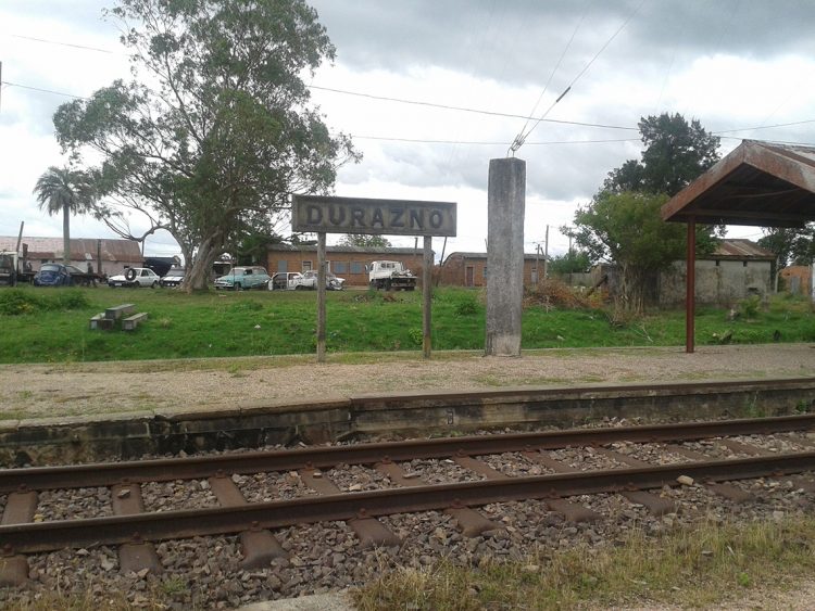 Tren de UPM: los vecinos de Durazno sin respuestas