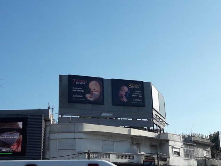 Aborto legal: ¿está prohibido discrepar?