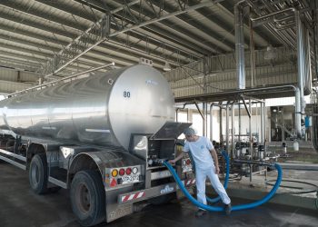 Uruguay produce más leche, pero insuficiente para industria