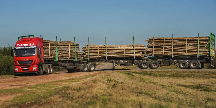 Fueron aprobados los tritrenes