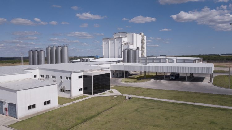 Uruguay produce más leche, pero insuficiente para industria