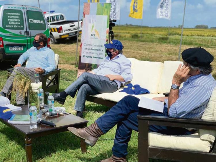 Inauguración de la cosecha de arroz:  entre el optimismo y las necesidades del sector