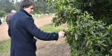 La granja debe exportar el trabajo de los uruguayos