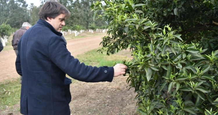 La granja debe exportar el trabajo de los uruguayos