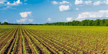 Uruguay es el país de la región con más área con seguro agropecuario