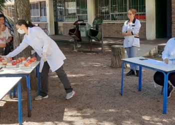 “Ya se están distribuyendo tickets” para la alimentación escolar