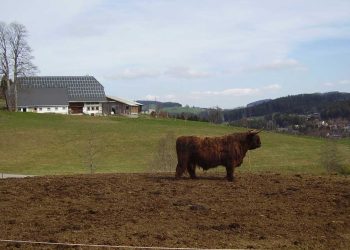 La crisis –tambera- no puede quedar en manos de economistas