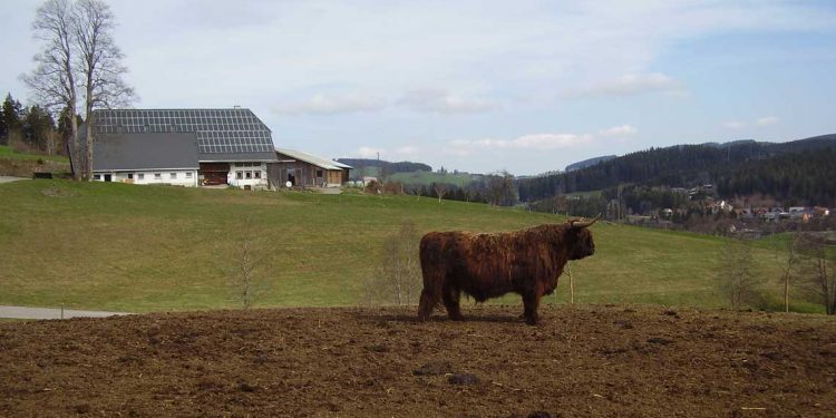 La crisis –tambera- no puede quedar en manos de economistas