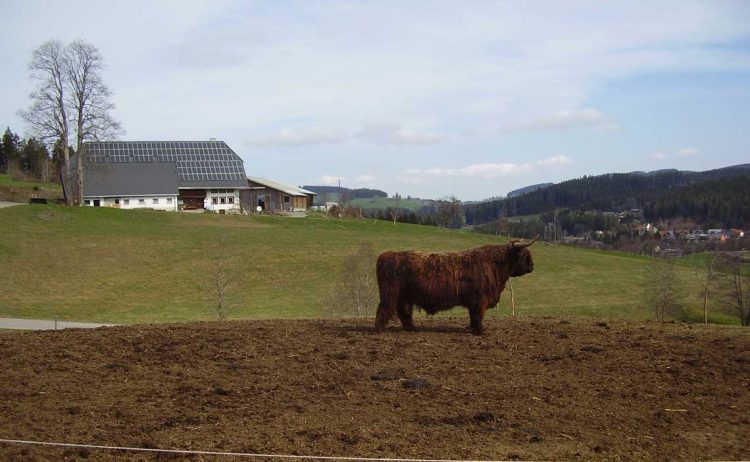 La crisis –tambera- no puede quedar en manos de economistas