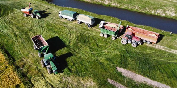 Bi-tren o tri-tren: para abaratar costos