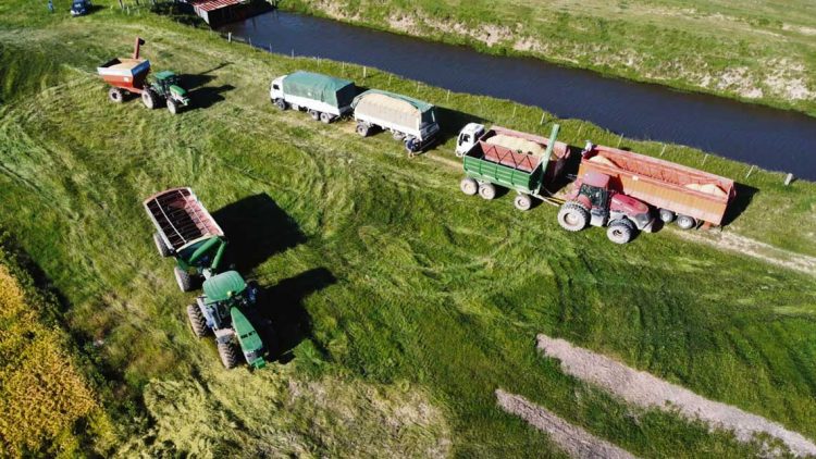 Bi-tren o tri-tren: para abaratar costos