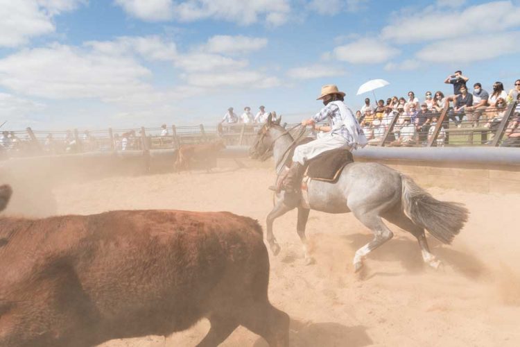 Los jinetes y sus Criollos exhibieron toda su destreza en Maldonado