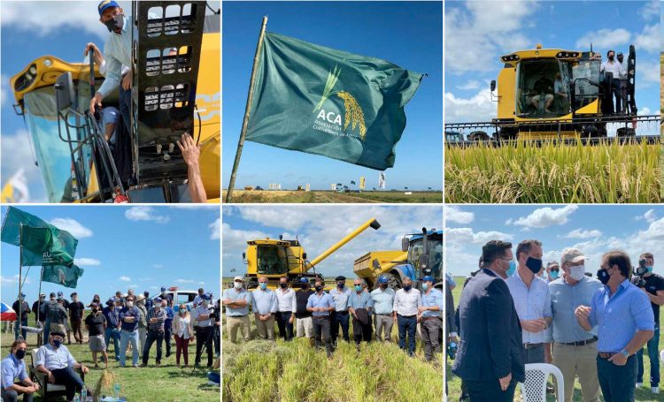 En la inauguración de la cosecha de arroz, ACA entregó varios “deberes” al Ejecutivo