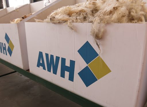 Esta semana la lana bajó 1,9% y el valor promedio quedó en US$ 10,20