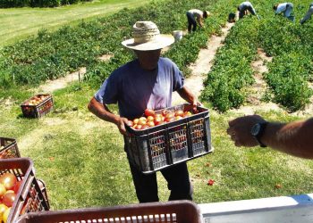 Montevideo Rural: entre el deterioro de la actividad productiva, la falta de acceso a servicios y la inseguridad