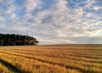 En el diferendo con Argentina, la Federación y la Asociación Rural expresaron su apoyo al presidente Lacalle