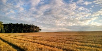 En el diferendo con Argentina, la Federación y la Asociación Rural expresaron su apoyo al presidente Lacalle
