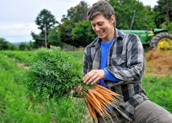 Producción hortícola canaria: entre la baja de productores y la sobreoferta