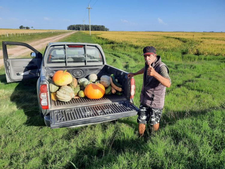 El arroz “tiene una importancia de destaque en la economía del país”