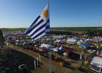 Por la pandemia se suspendió la Expo Melilla y se postergó la Expoactiva