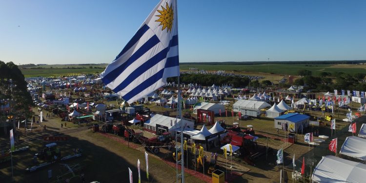 Por la pandemia se suspendió la Expo Melilla y se postergó la Expoactiva
