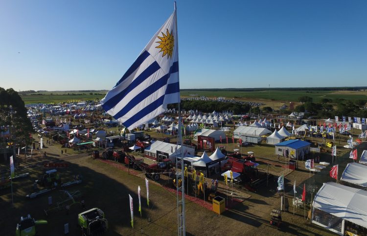 Por la pandemia se suspendió la Expo Melilla y se postergó la Expoactiva