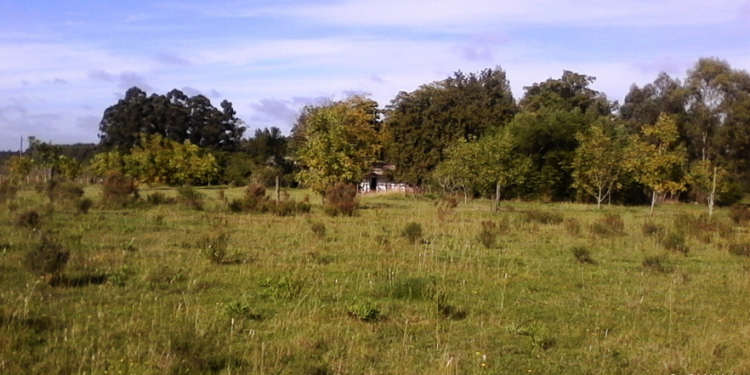 Abril nos regala un pequeño veranillo que durará hasta el viernes