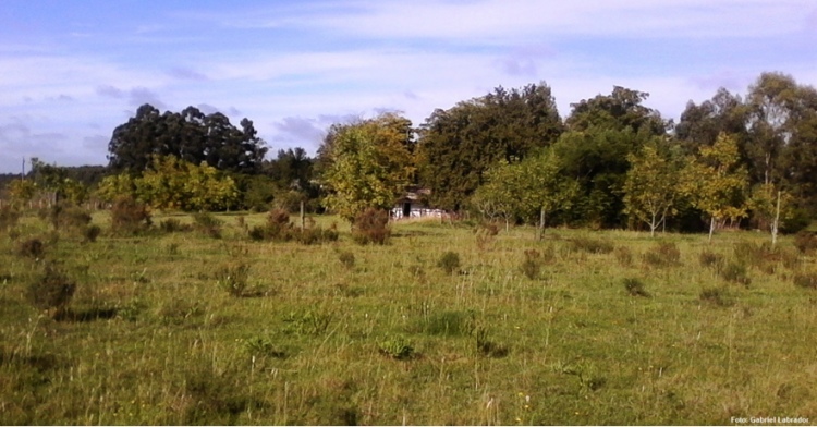 Abril nos regala un pequeño veranillo que durará hasta el viernes