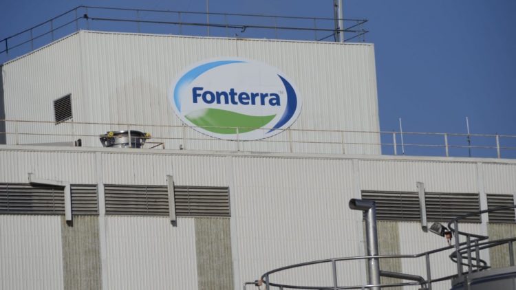 El precio internacional de la leche se mantiene estable