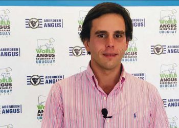 A pesar del mercado y del clima, la ganadería sigue siendo un rubro seguro